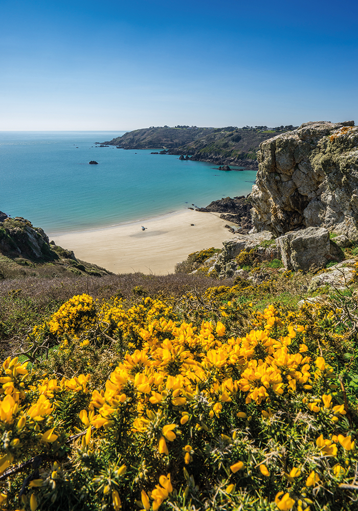 beitragsbild_gel-klippen_700x1000px