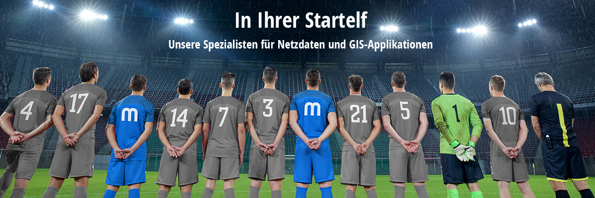 In Ihrer Startelf: Unsere Spezialisten für Netzdaten und GIS-Applikationen