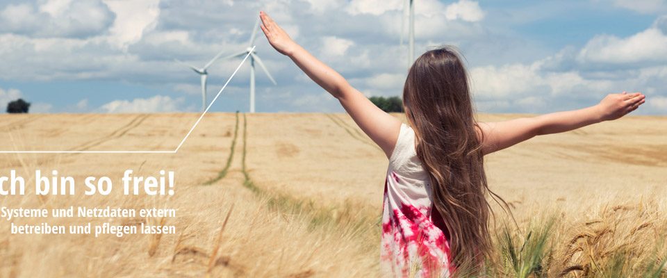 Titelbild NDS Webinar